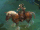 Игреневый конь