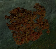 Muego de fuego adherido a una roca