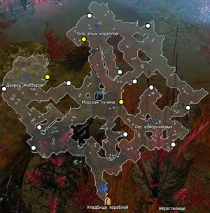 Нерестилище Сундуки