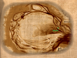 Baumhöhle Map