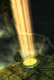 Transversalis-Ring
