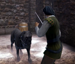  übt sich als Hundefänger