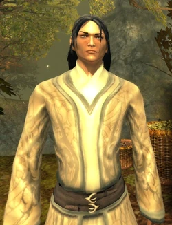 Dendayar Lichtsucher