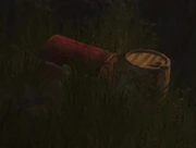 Ein versteckter Schatz