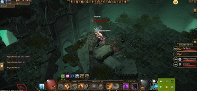 Piglet Unknown-3.jpg