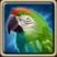 Parrot.png
