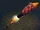 Firework Rocket