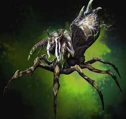 Arachna