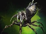 Arachna