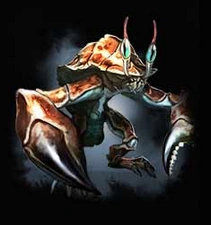 Zorlobb