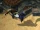 Dragon Wings