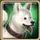 Jindo Icon.png