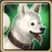 Jindo Icon.png
