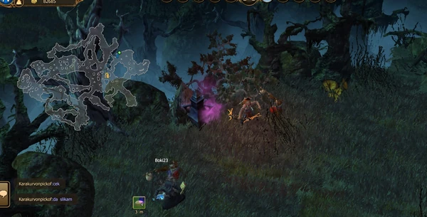 Wild Forest at Night CA.jpg