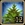 Hosta (magic) Icon.png
