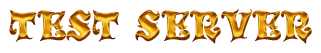 TEST SERVER logo