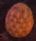 Mysterious Anniversary Egg.png