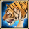 Tigre caparaçonné