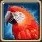 Ruby Parrot.jpg