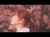 Sakura no Kinoshita
