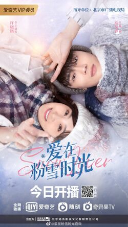Snow Lover