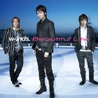 7300-beautifullife-i95w