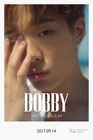Bobby 02.jpg (257 kB)