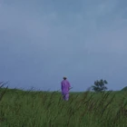 20580974