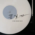 20608807