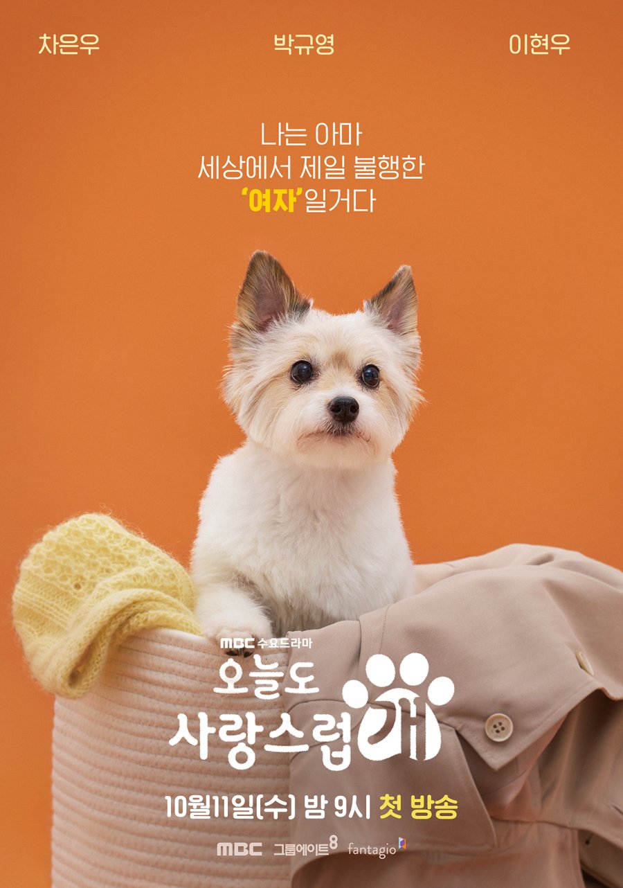 A good day to be a dog wiki drama fandom