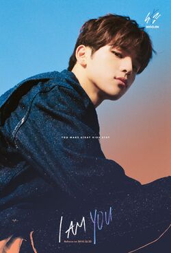 Kim Woo Jin Wiki Drama Fandom
