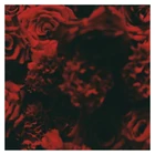 ALEPH - 많은 사랑을 했나