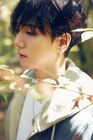 Yesung Play