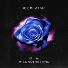 Z.Tao - Misunderstand-CD