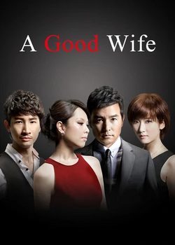 A Good Wife Drama Wiki Fandom