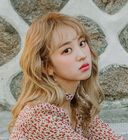 80162636.jpg (613 kB)