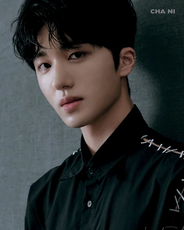 Kang Chan Hee Drama Wiki Fandom