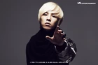 Gdragon13.jpg (72 kB)