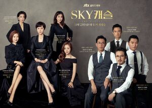 SKY Castle-JTBC-2018-01