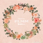 PLMM