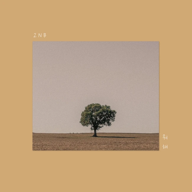 2NB