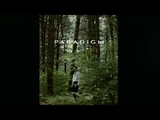Paradigm