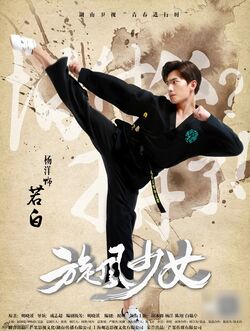 Whirlwind Girl Wiki Drama Fandom