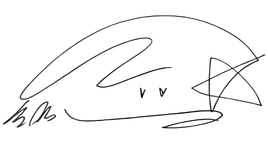 Song Kang signature