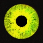 4093737