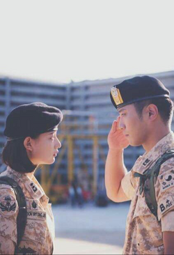 Descendants of the Sun - Wikipedia