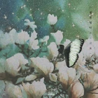 Sweden Laundry - Dew