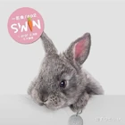 SWIN EP2
