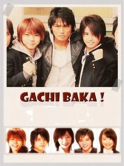 Gachi Baka!