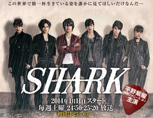 SHARK